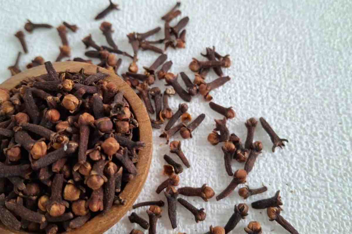 Chiodi di garofano, proprietà
